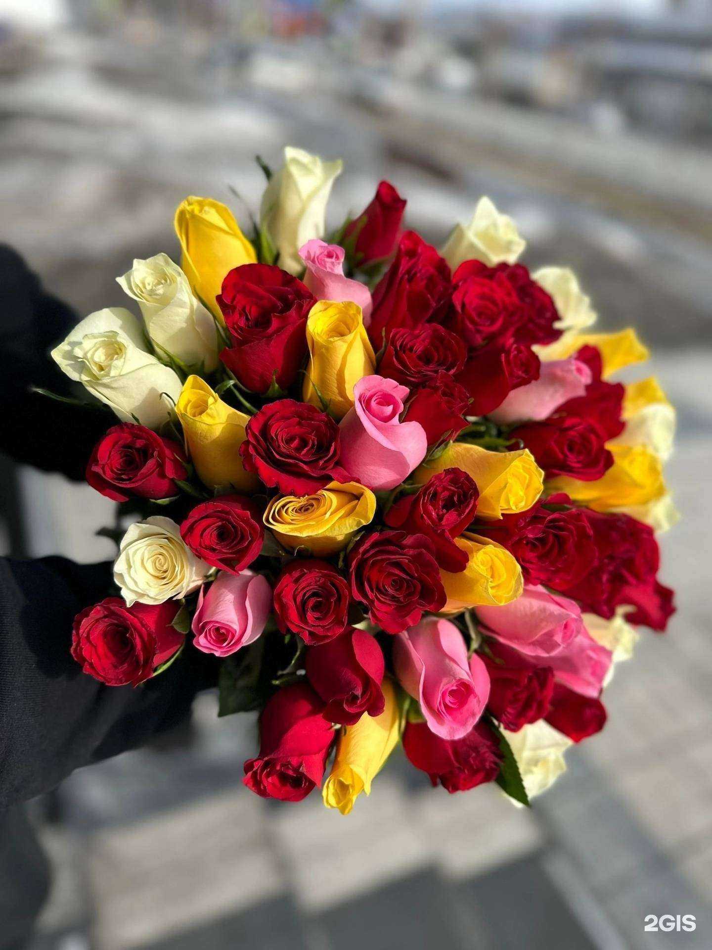 Отзывы на компанию Две сестры в Ачинске c фото