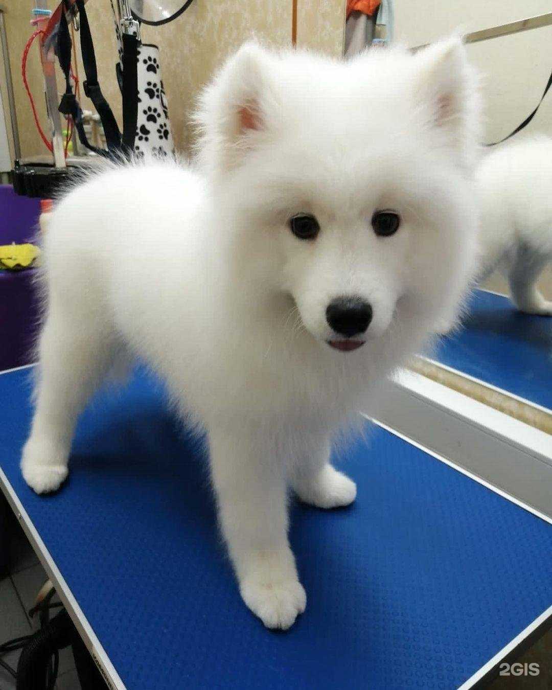 Отзывы на компанию Солнечная в г. Краснодар c фото