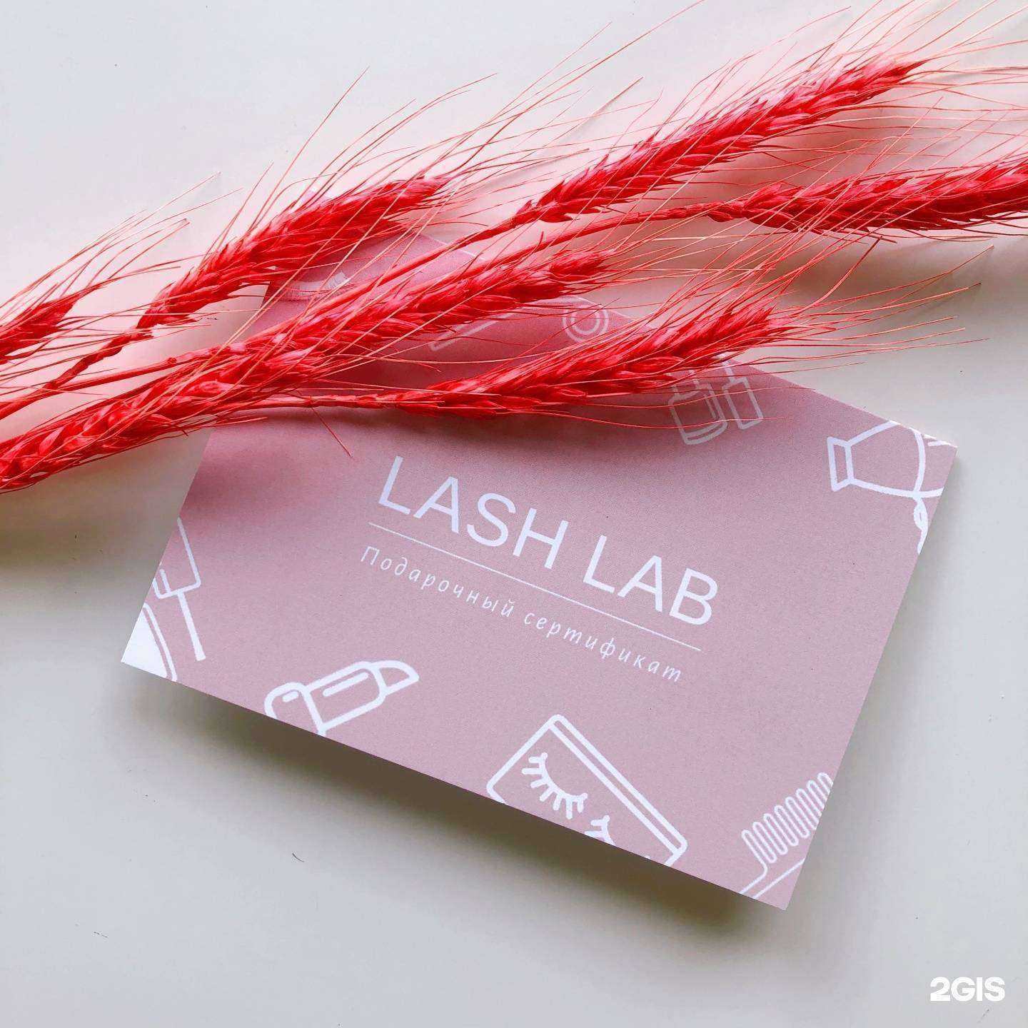 Отзывы на компанию Lash lab в Архангельске c фото