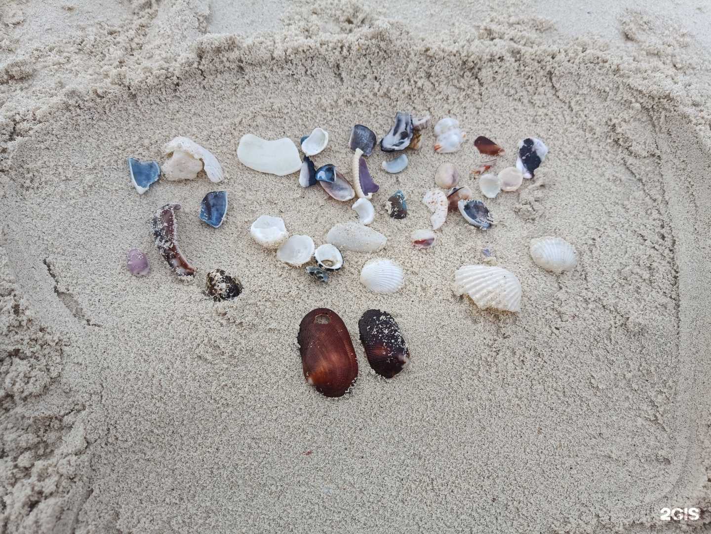 Отзывы на компанию Вояж тур в Красноярске c фото