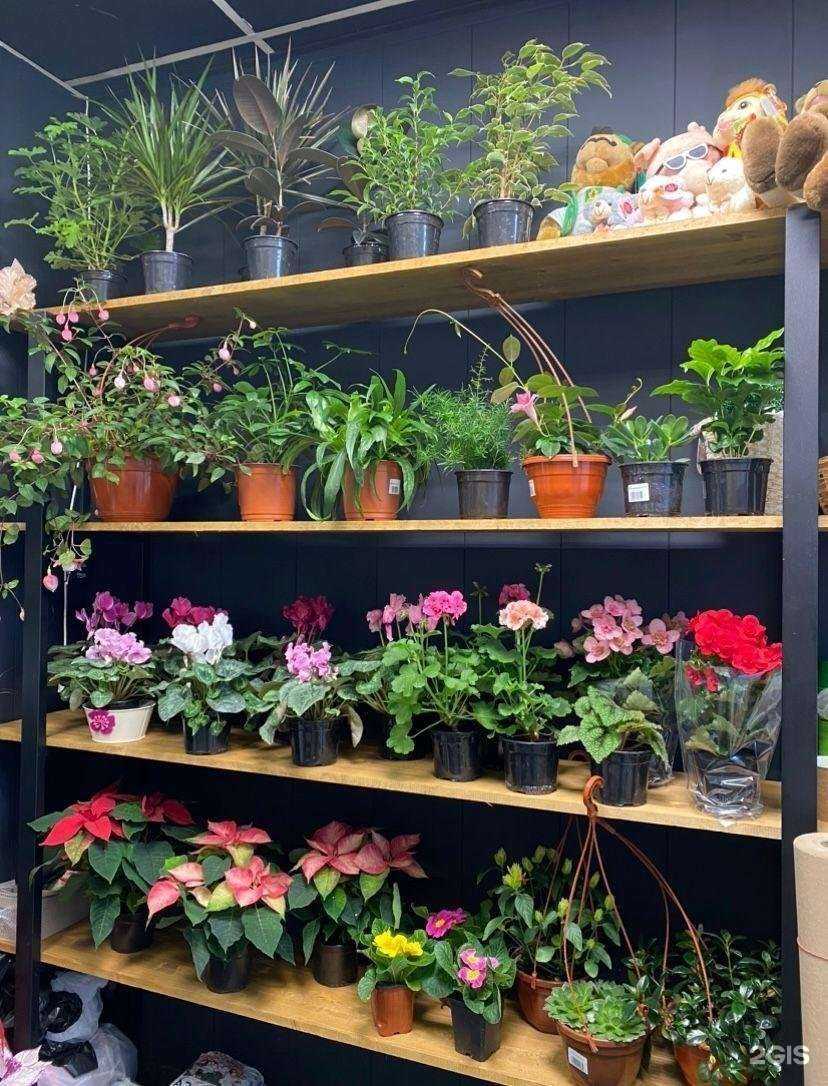 Отзывы на компанию Магазин цветов в г. Долгопрудный c фото