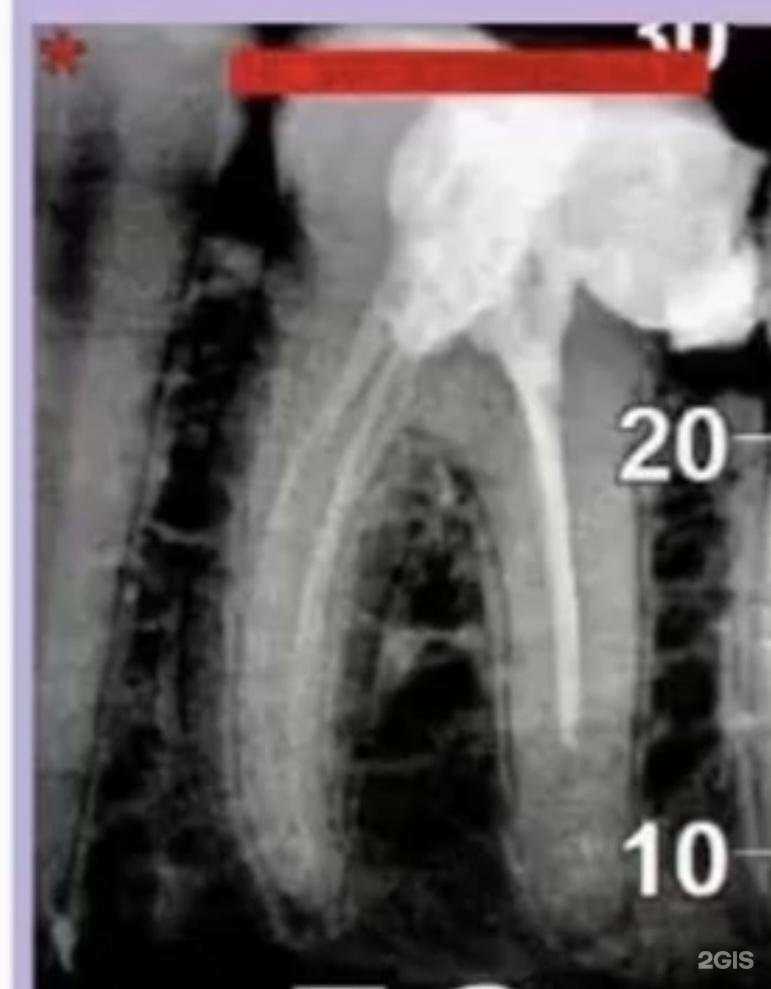 Отзывы на компанию Стоматологический центр в Волгограде c фото