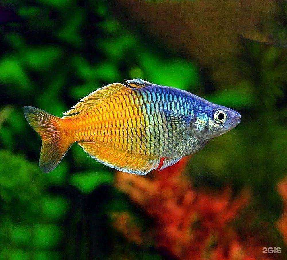 Отзывы на компанию Аквамакс в г. Краснодар c фото