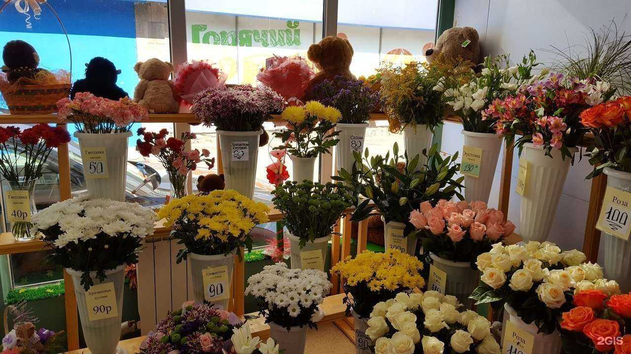 Отзывы на компанию Bestflo54 в Новосибирске c фото - фотография 2 из 2