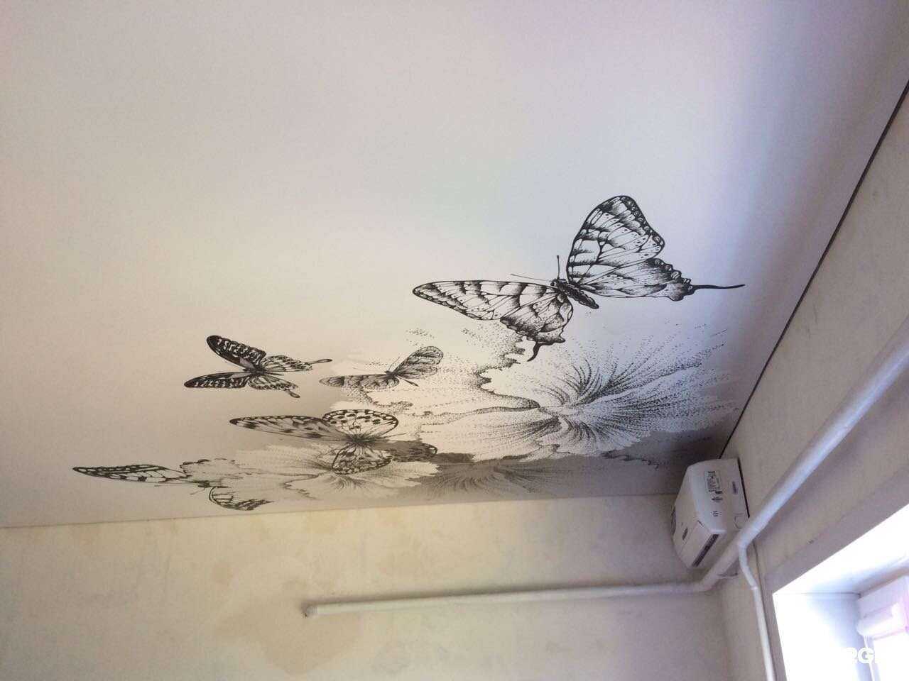 Отзывы на компанию Аванте в Сочи c фото