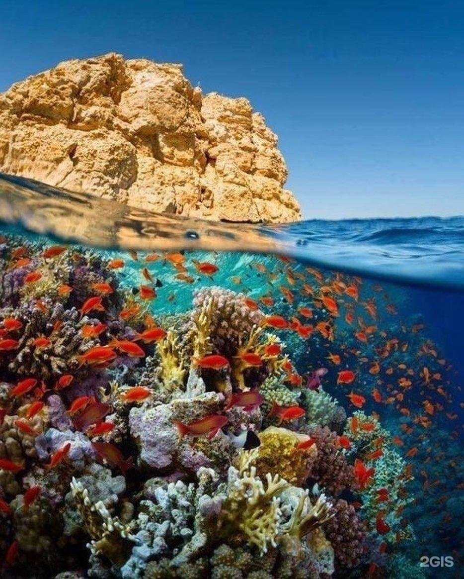 Отзывы на компанию Росинтур в г. Ростов-на-Дону c фото