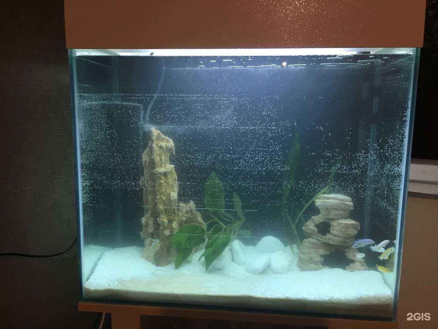 Отзывы на компанию Аквасам в г. Новосибирск c фото