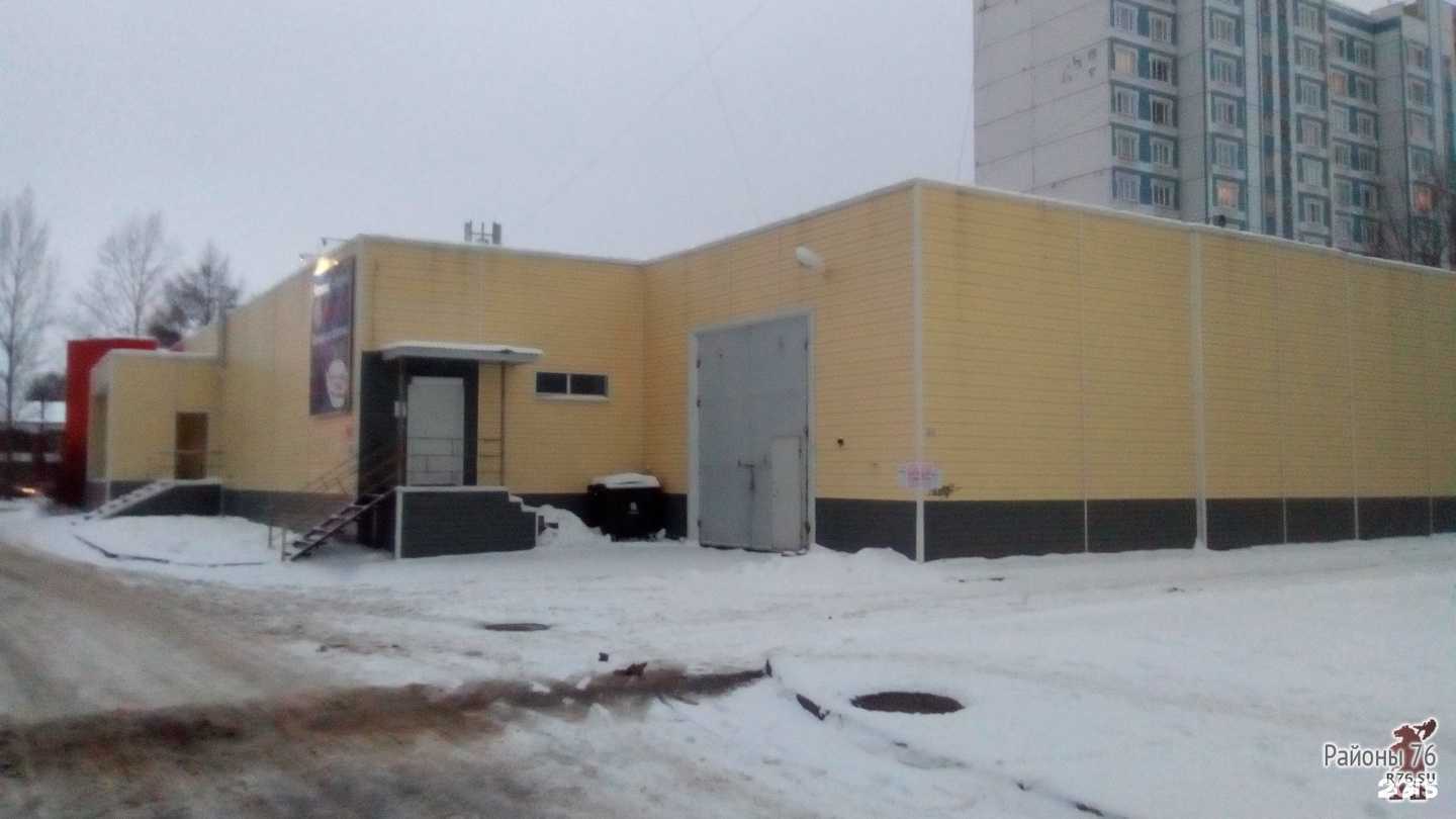 Отзывы на компанию Магазин комнатных растений в Ярославле c фото - фотография 2 из 2