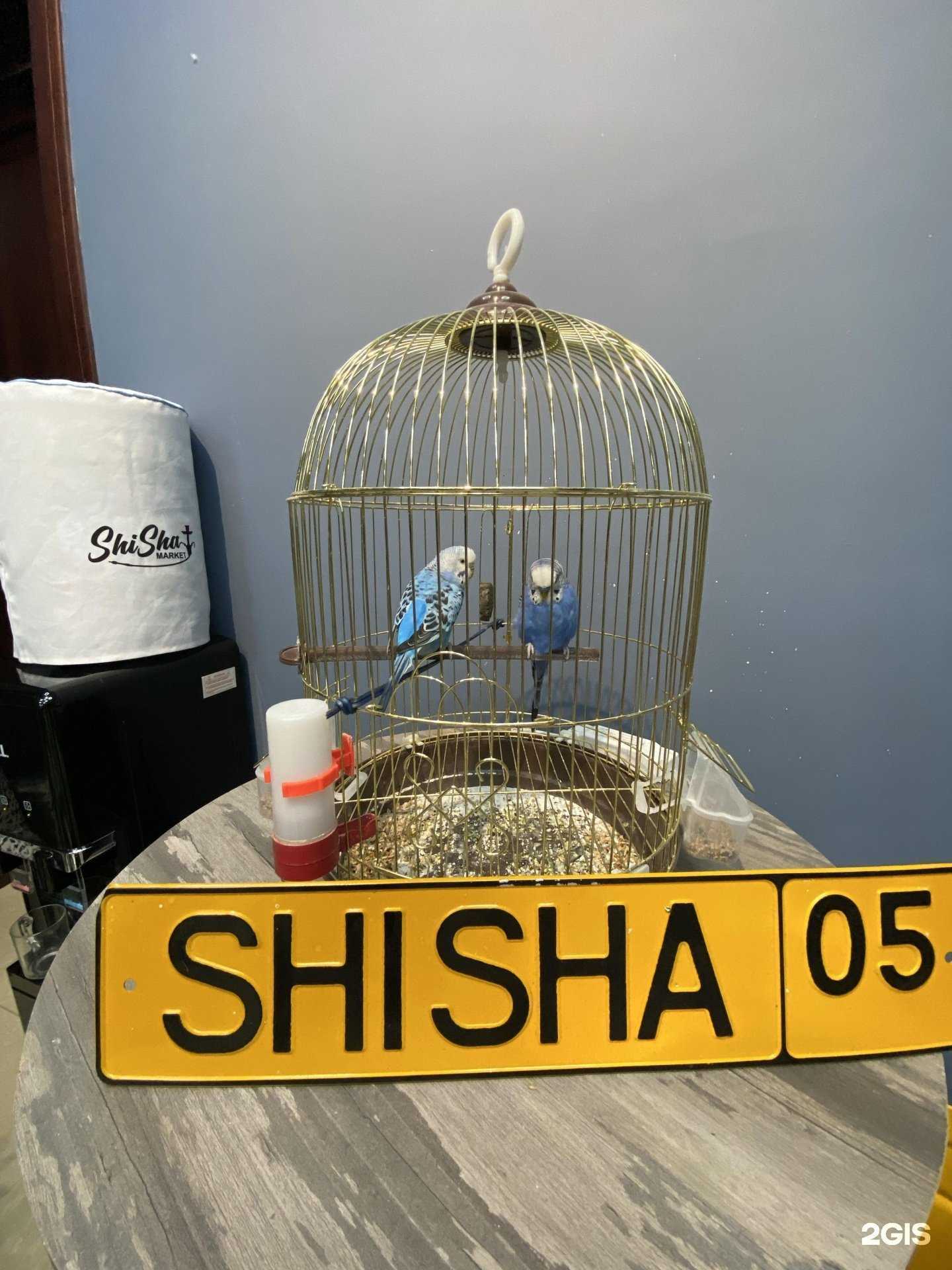 Отзывы на компанию ShiSha market в г. Махачкала c фото