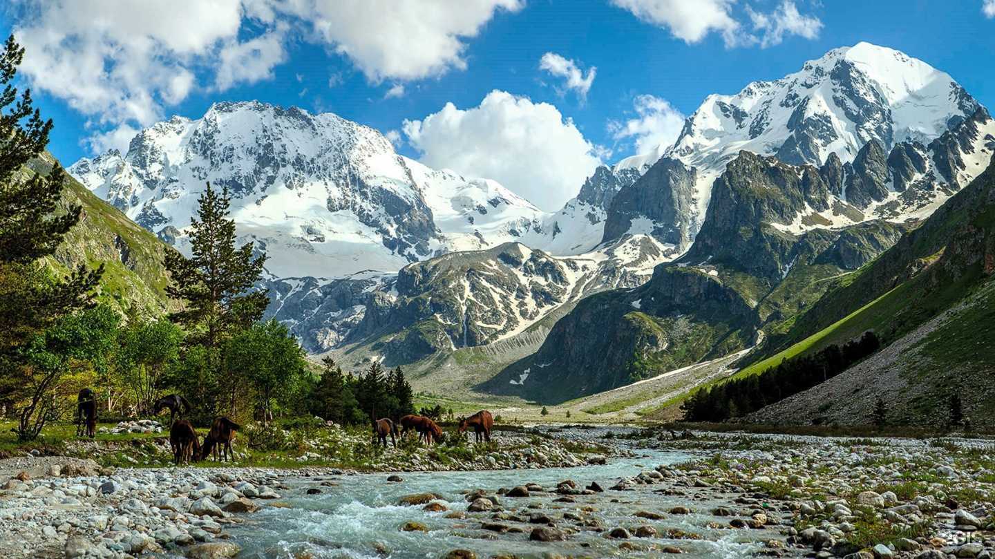 Отзывы на компанию Наши туры в г. Железноводск c фото