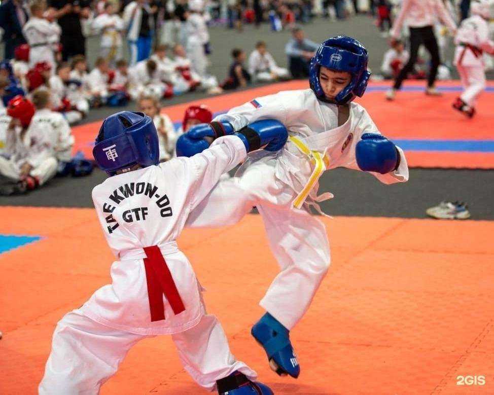 Отзывы на компанию Федерация Тхэквондо ГТФ Омской области в Омске c фото