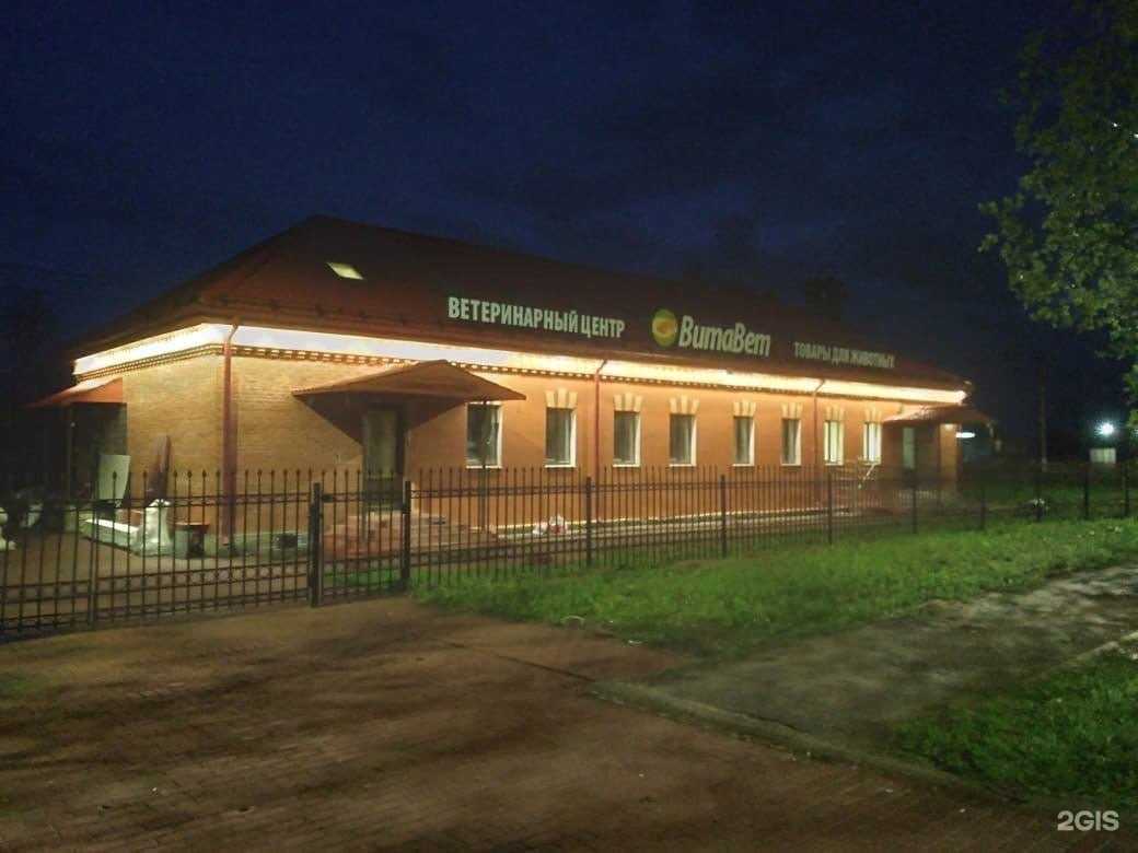 Отзывы на компанию ВитаВет в г. Гатчина c фото