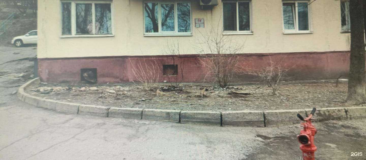 Отзывы на компанию Cats&Dogs в Владивостоке c фото - фотография 2 из 2