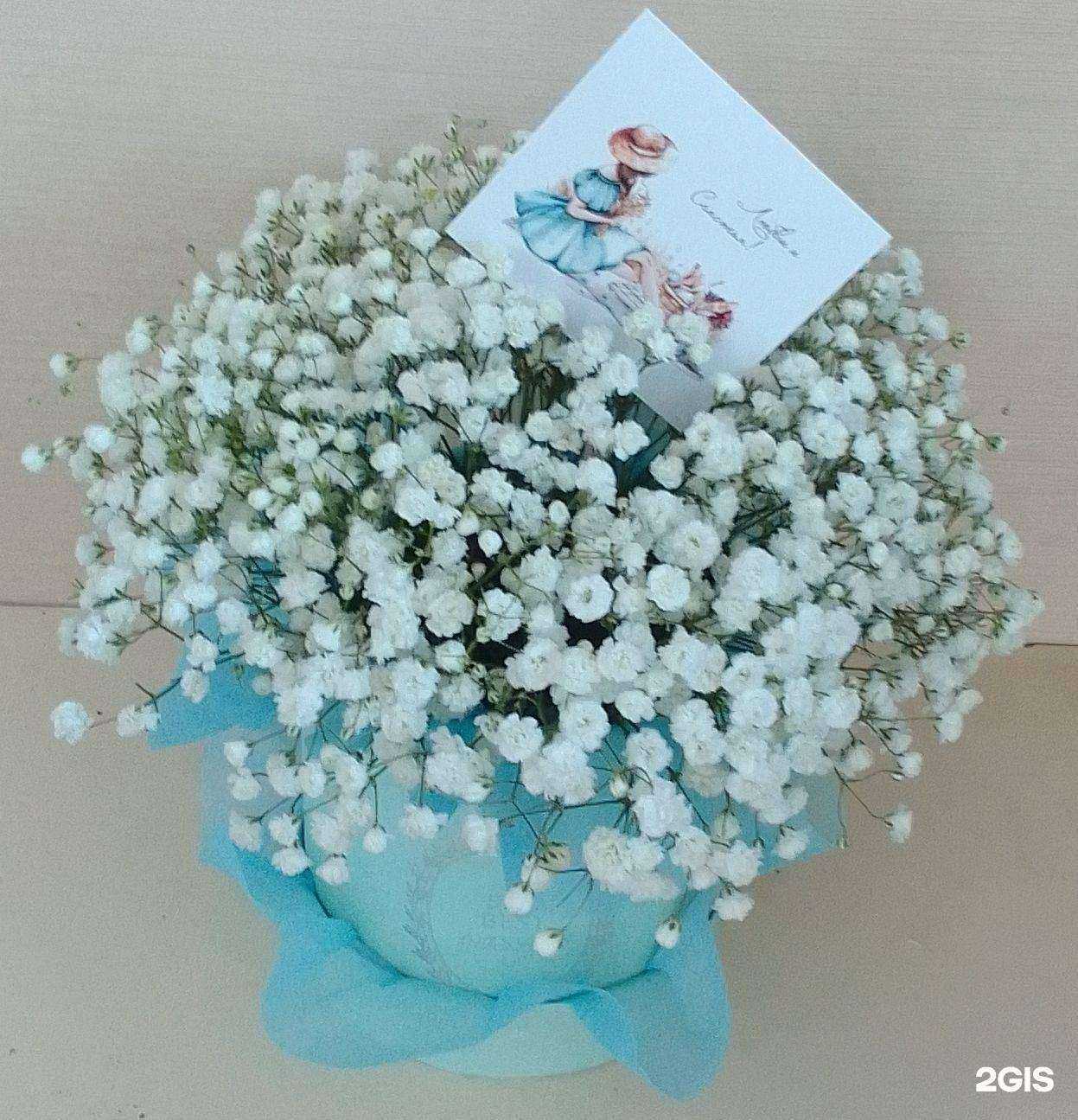 Отзывы на компанию Азалия в г. Томск c фото