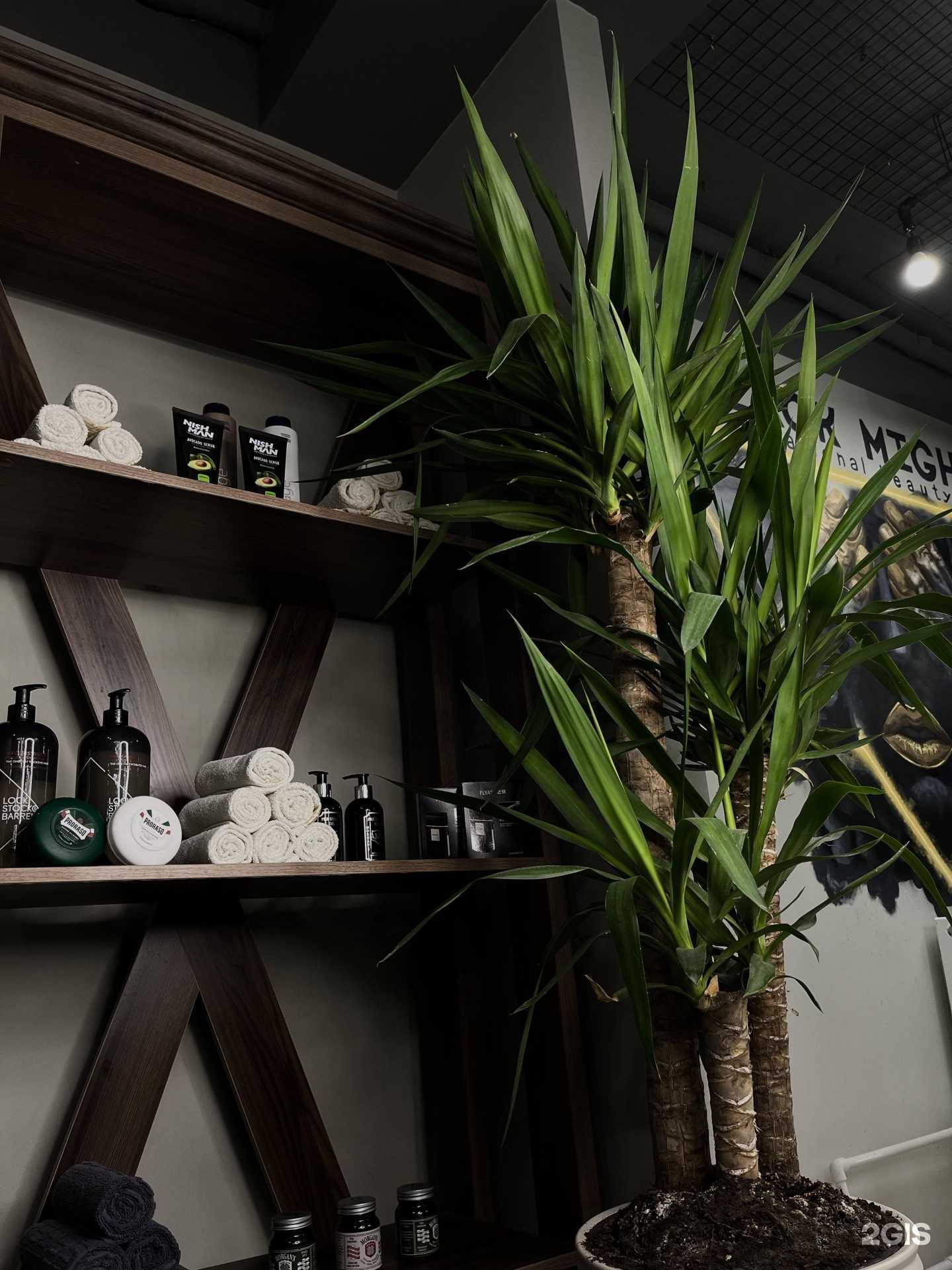 Отзывы на компанию Black might в Казани c фото