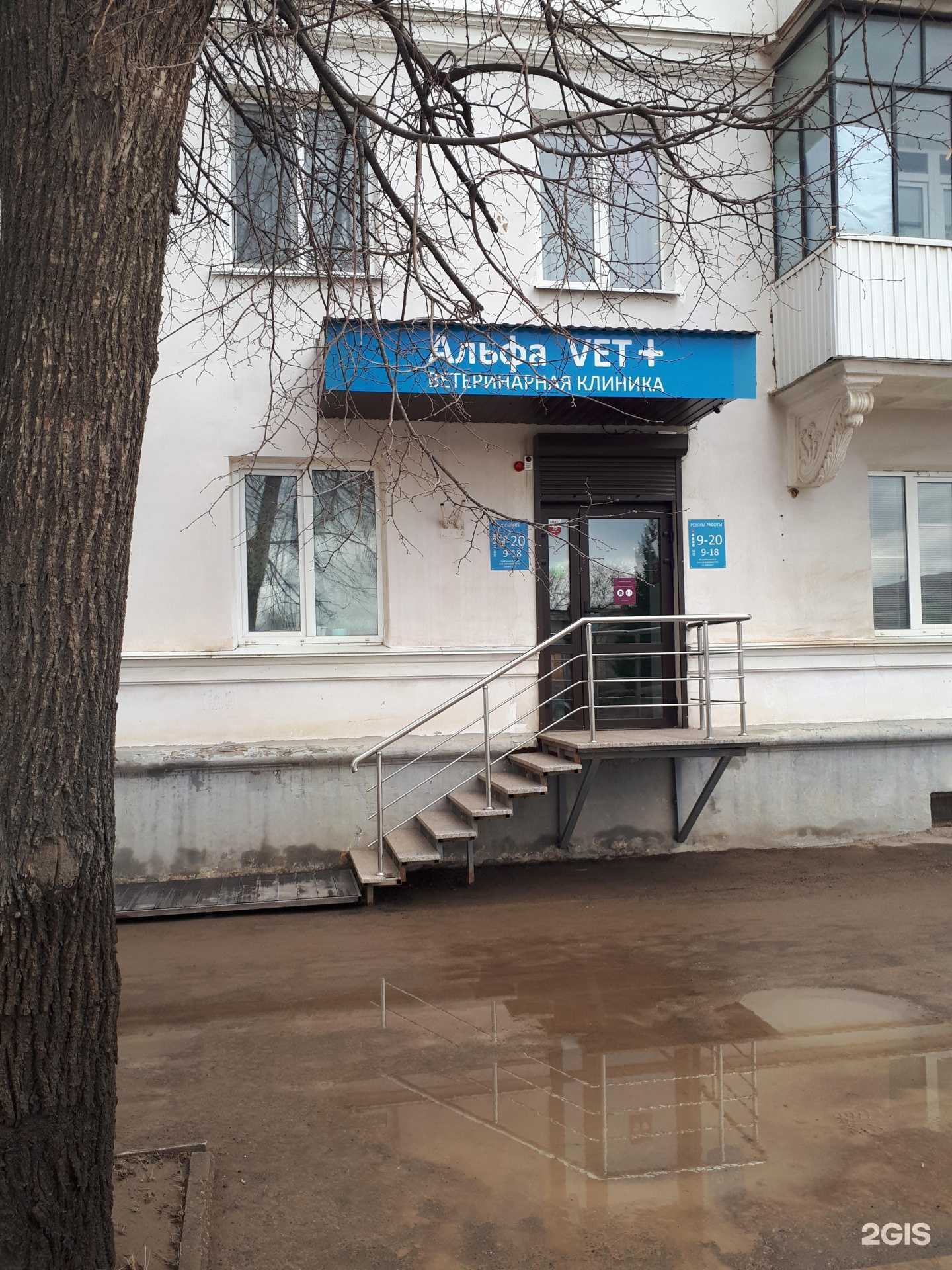 Отзывы на компанию Альфа vet+ в г. Октябрьский c фото