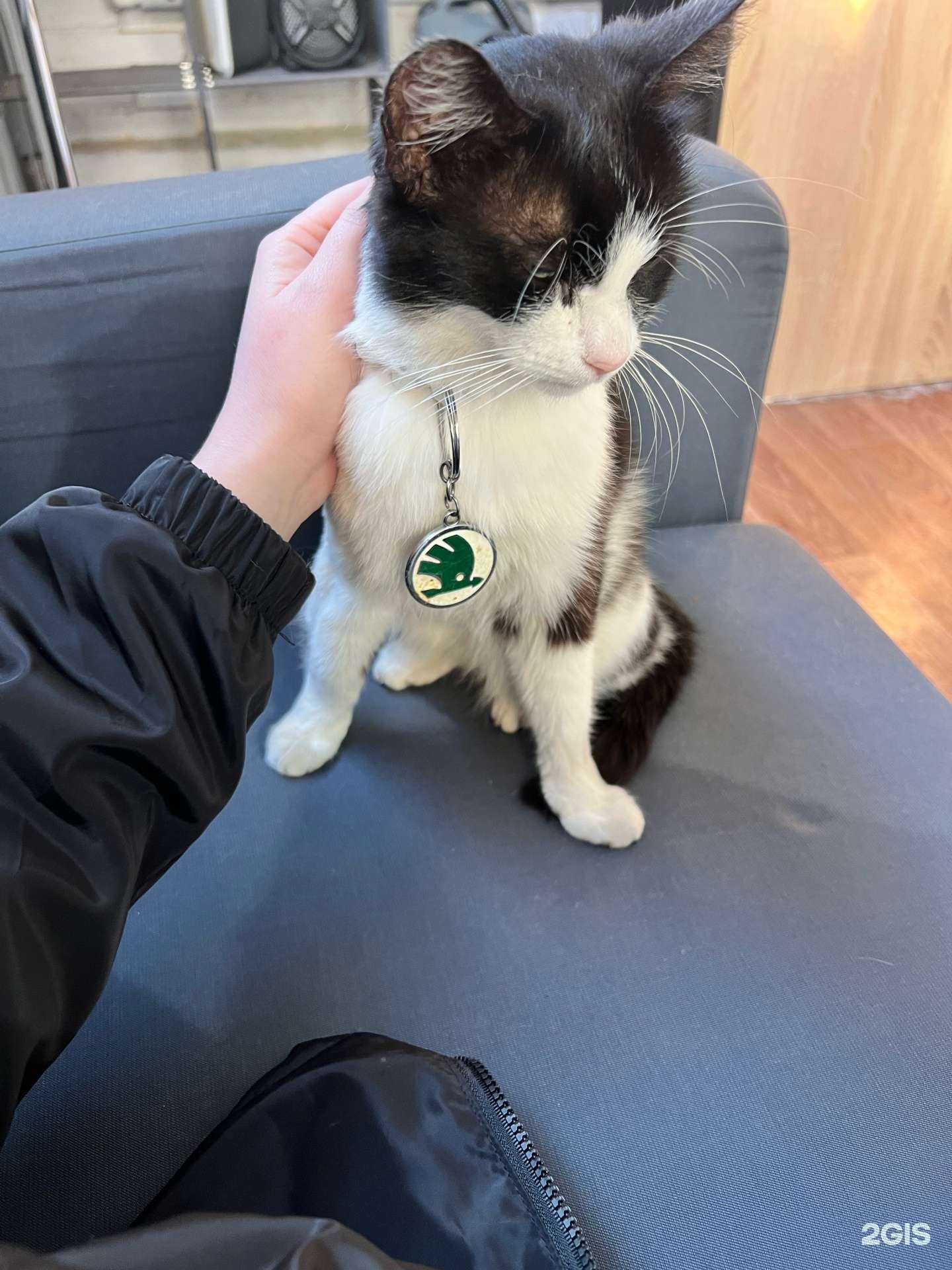 Отзывы на компанию Professor в Краснодаре c фото