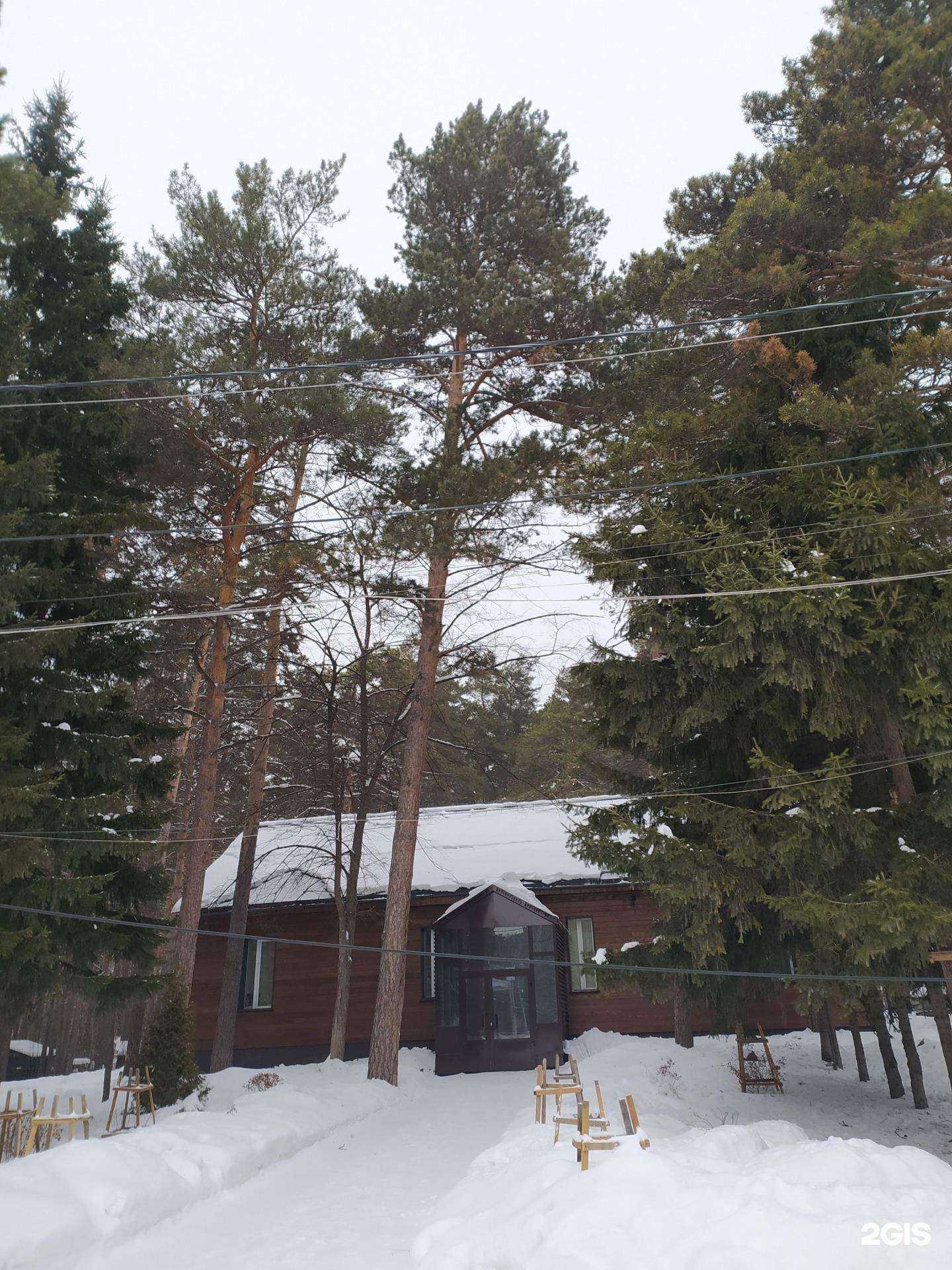 Отзывы на компанию Заельцовский в Новосибирске c фото - фотография 2 из 2