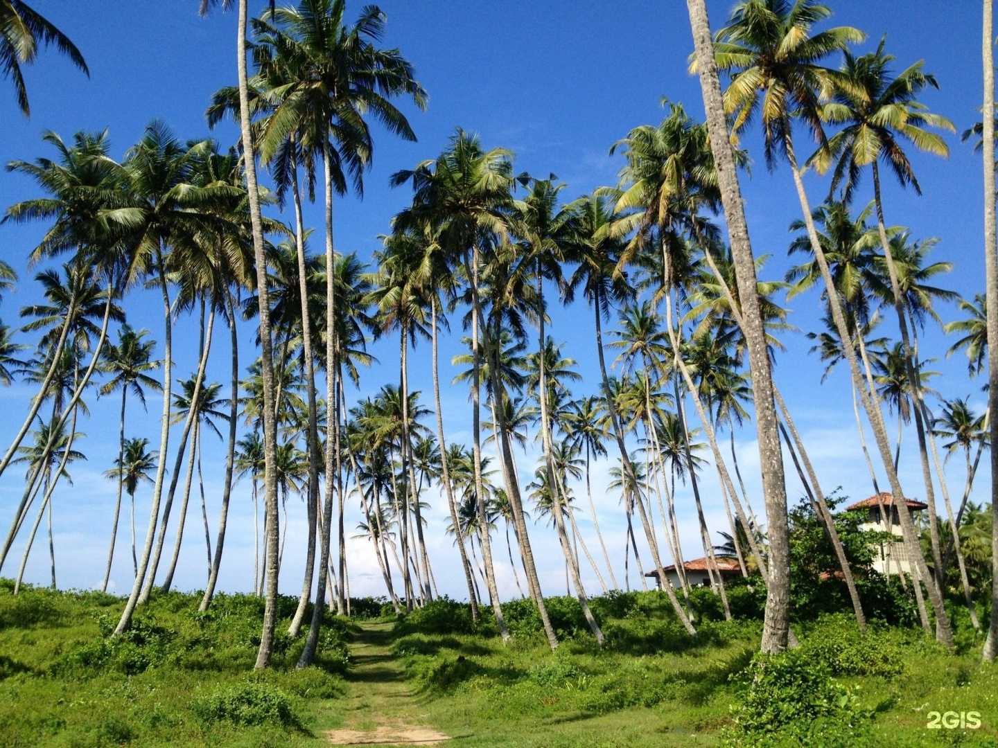 Отзывы на компанию Туристическое агентство Марии Колесниковой в г. Архангельск c фото