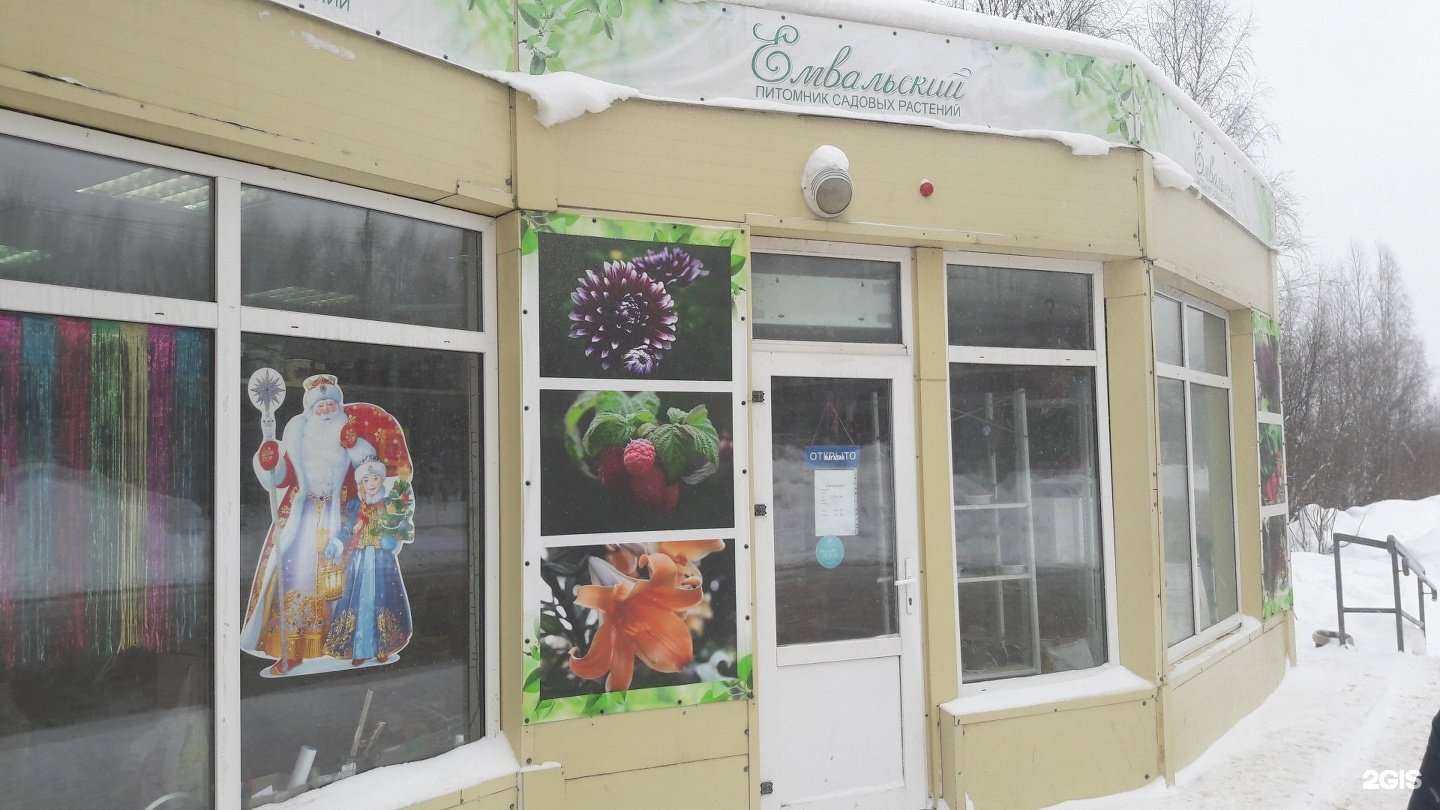 Отзывы на компанию Емвальский в Сыктывкаре c фото