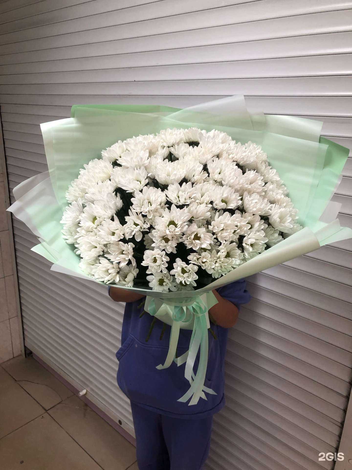 Отзывы на компанию Амелия в Новосибирске c фото