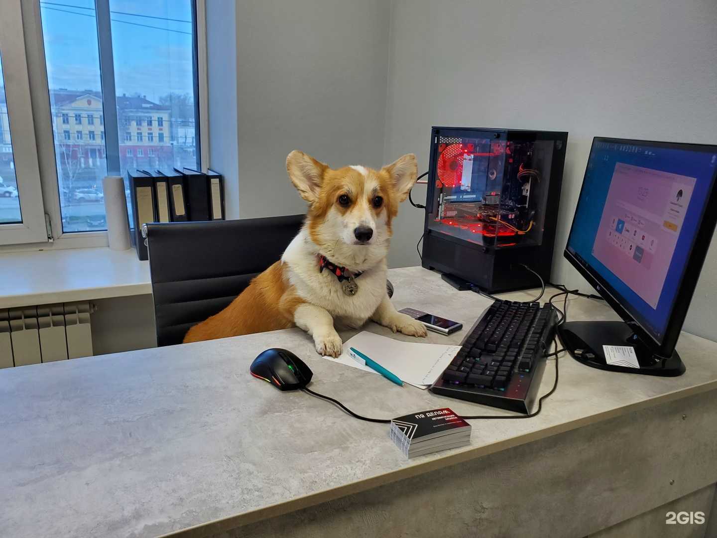 Отзывы на компанию По Делам в г. Красноярск c фото