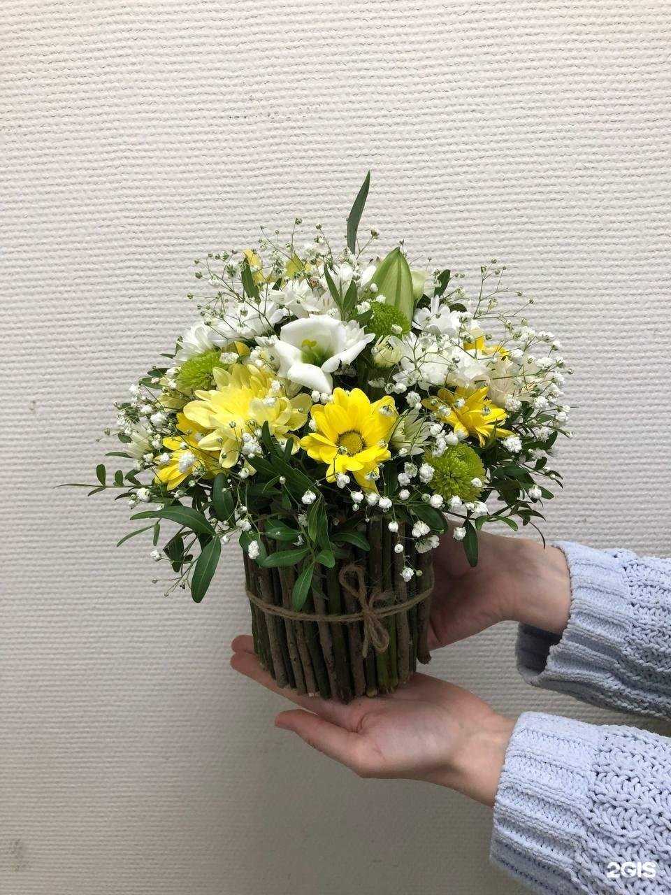 Отзывы на компанию Зеленый мир в Перми c фото