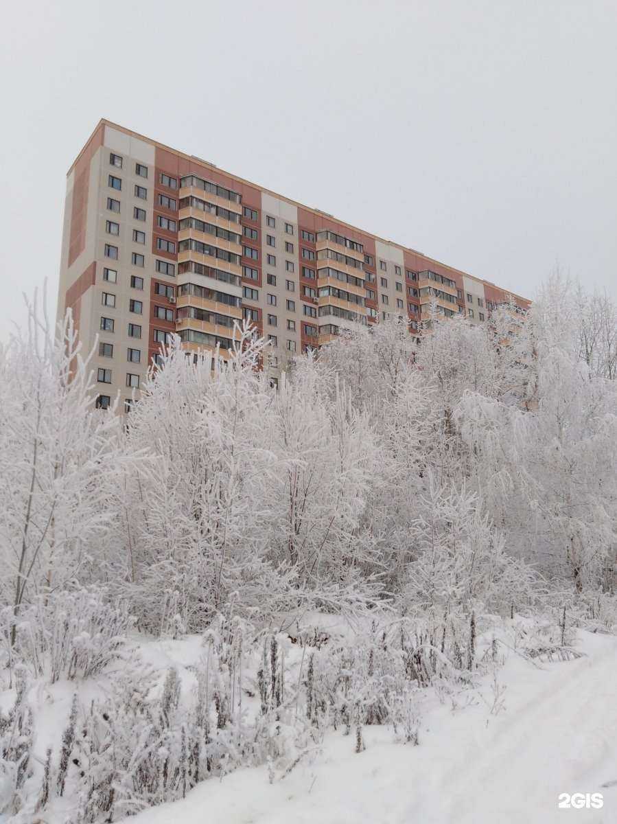 Отзывы на компанию Браво! в Балашихе c фото - фотография 2 из 2