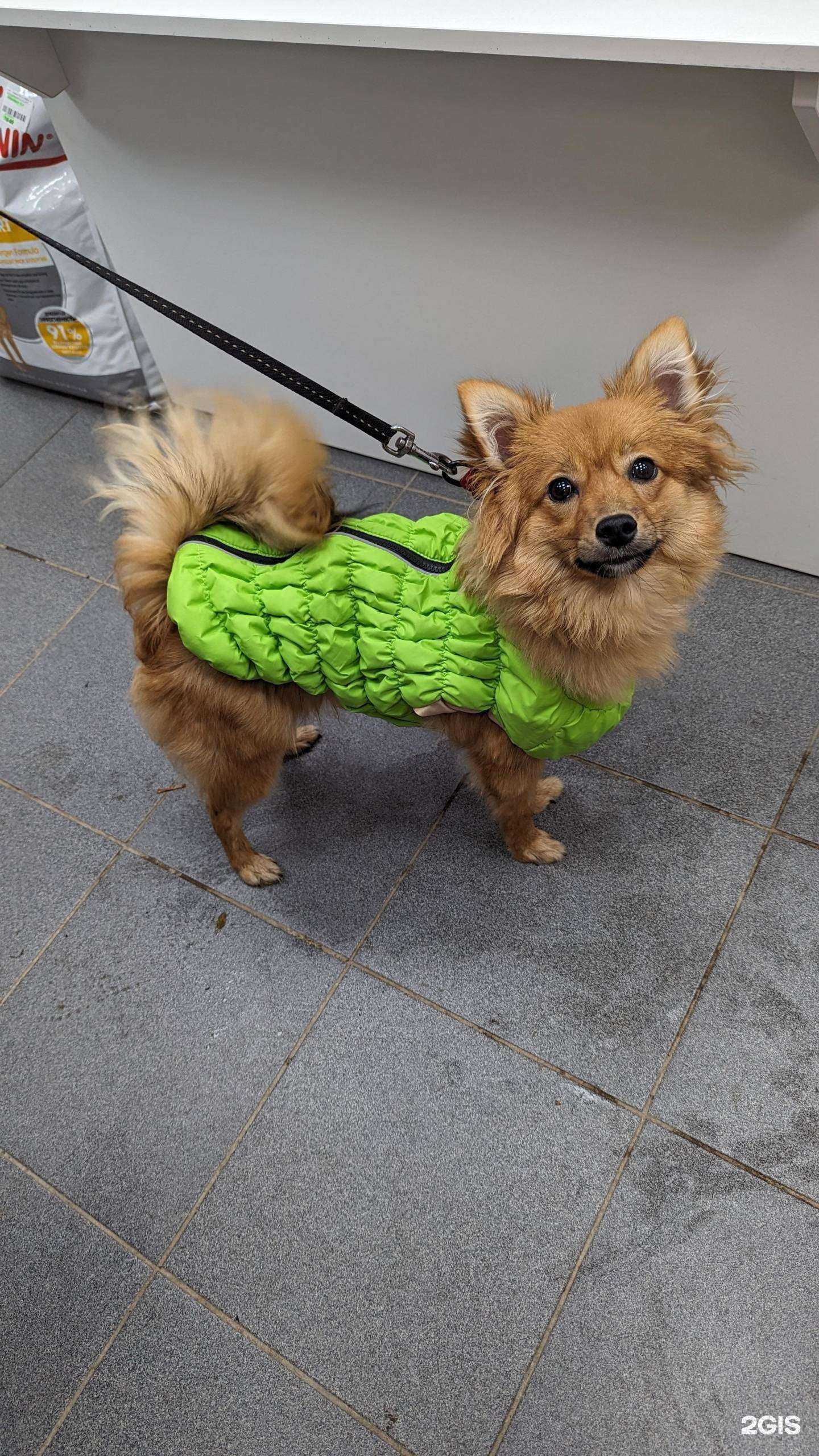 Отзывы на компанию Кот Бегемот в г. Каменск-Уральский c фото