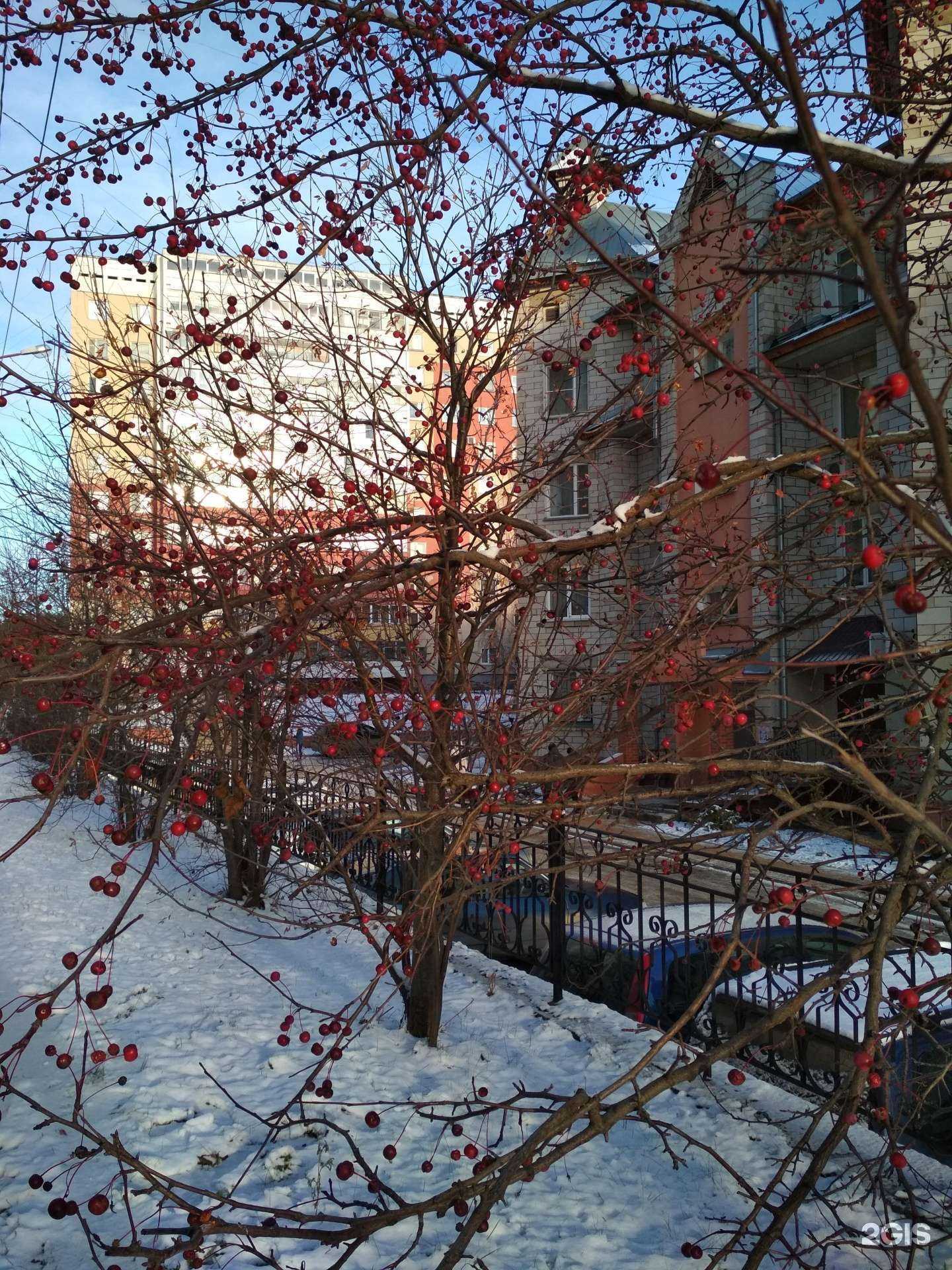 Отзывы на компанию Риан к в Перми c фото - фотография 2 из 2