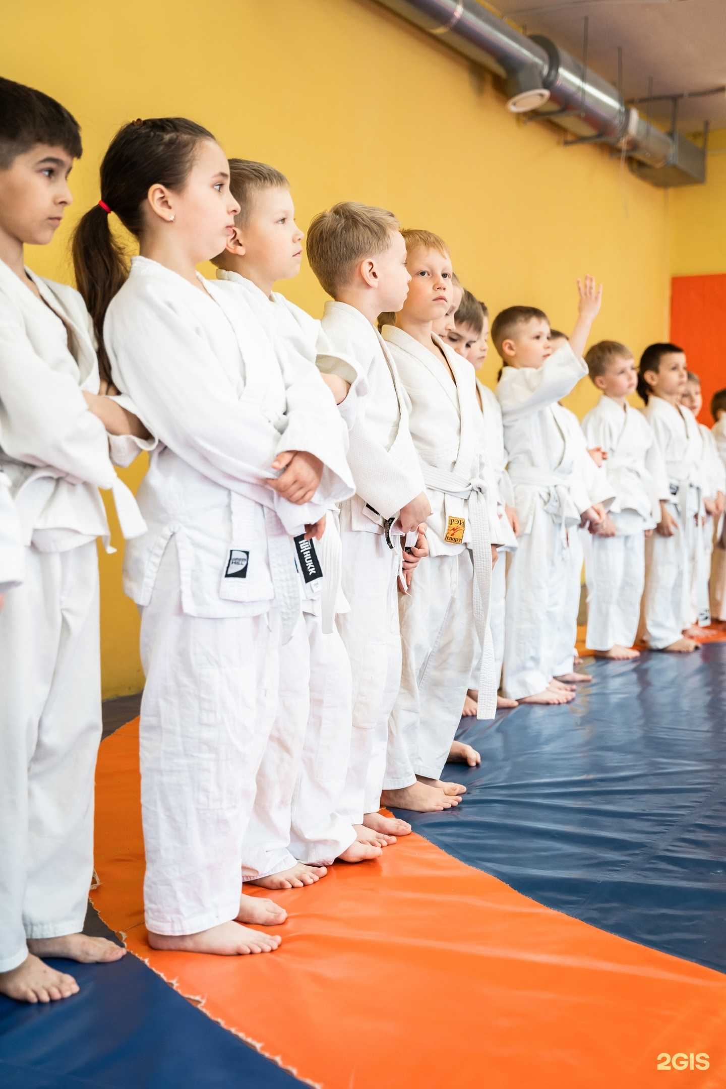 Отзывы на компанию Олимп в г. Архангельск c фото