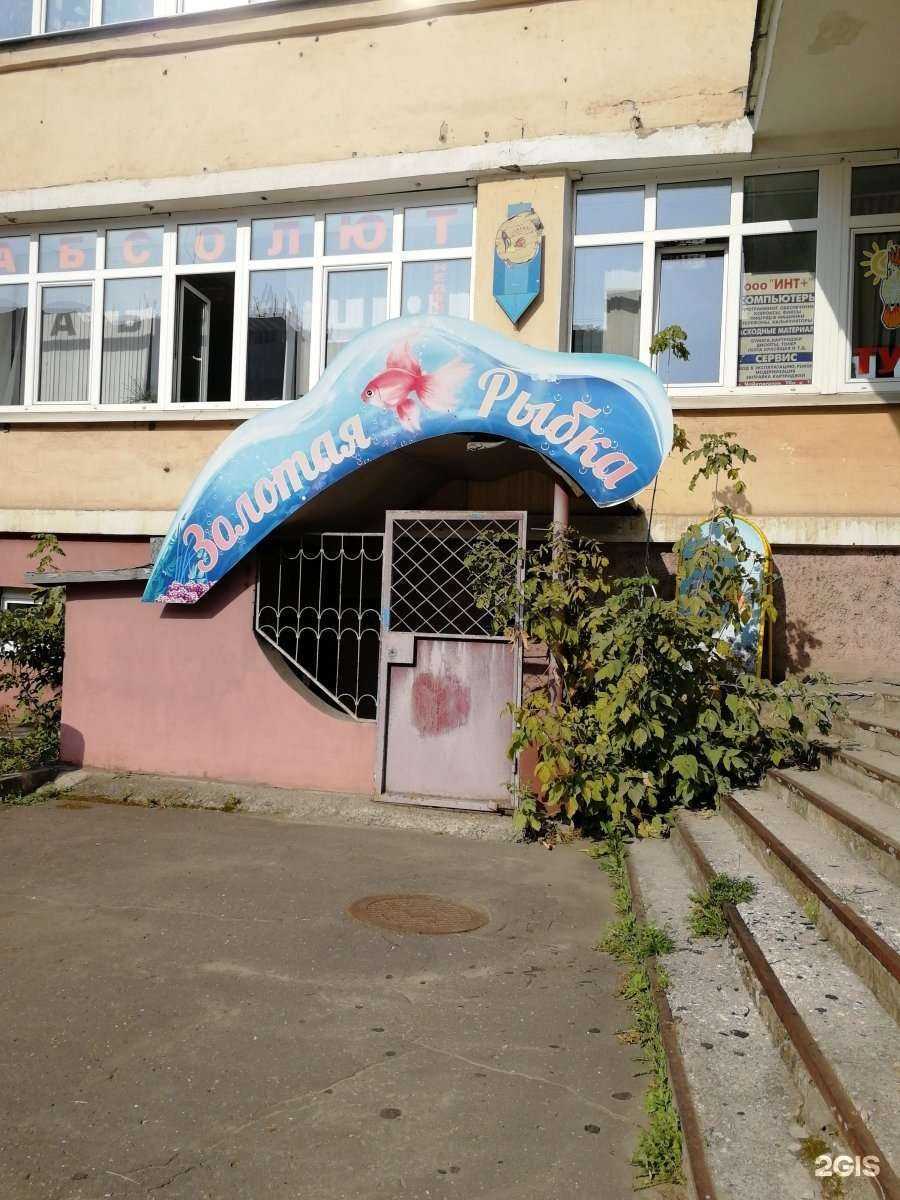 Отзывы на компанию Золотая рыбка в Твери c фото