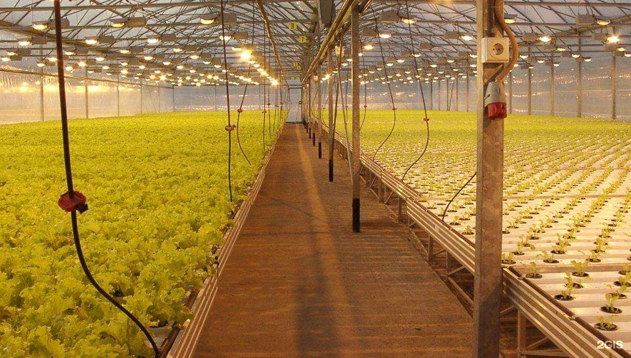 Отзывы на компанию Grand Line в Ярцеве c фото