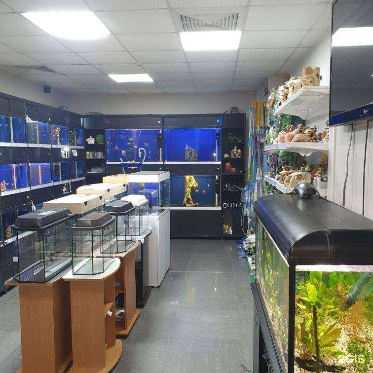 Отзывы на компанию Любимчик в г. Уссурийск c фото