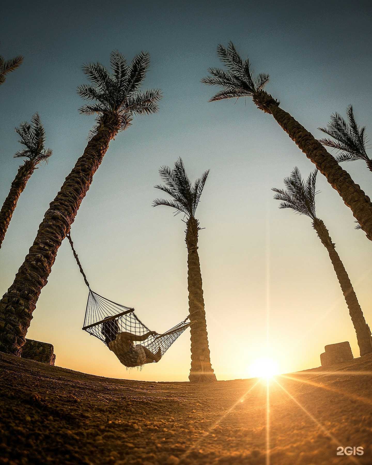 Отзывы на компанию Солнцетур в г. Иваново c фото