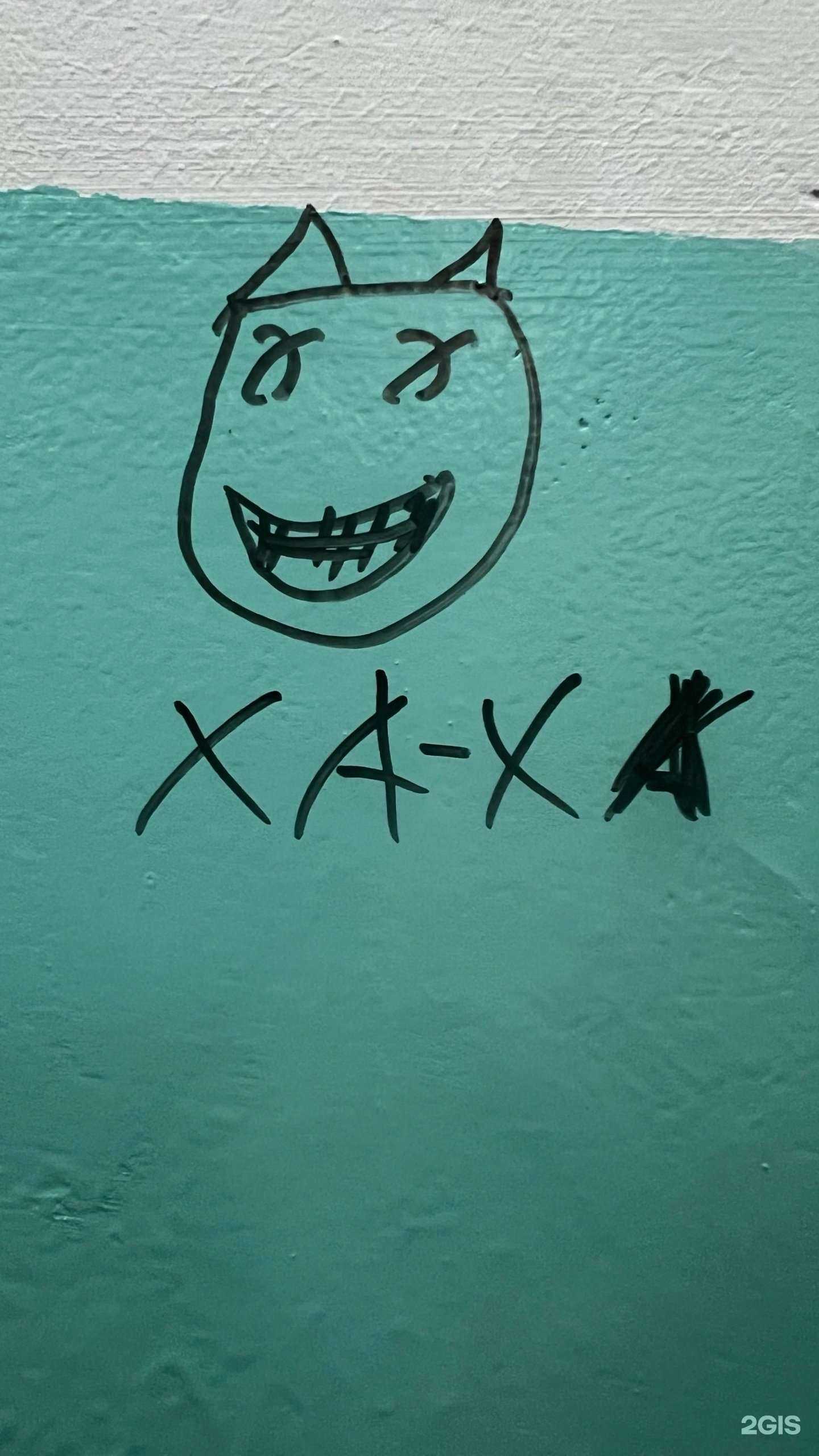 Отзывы на компанию Уши, лапы, хвост в Минусинске c фото - фотография 2 из 2