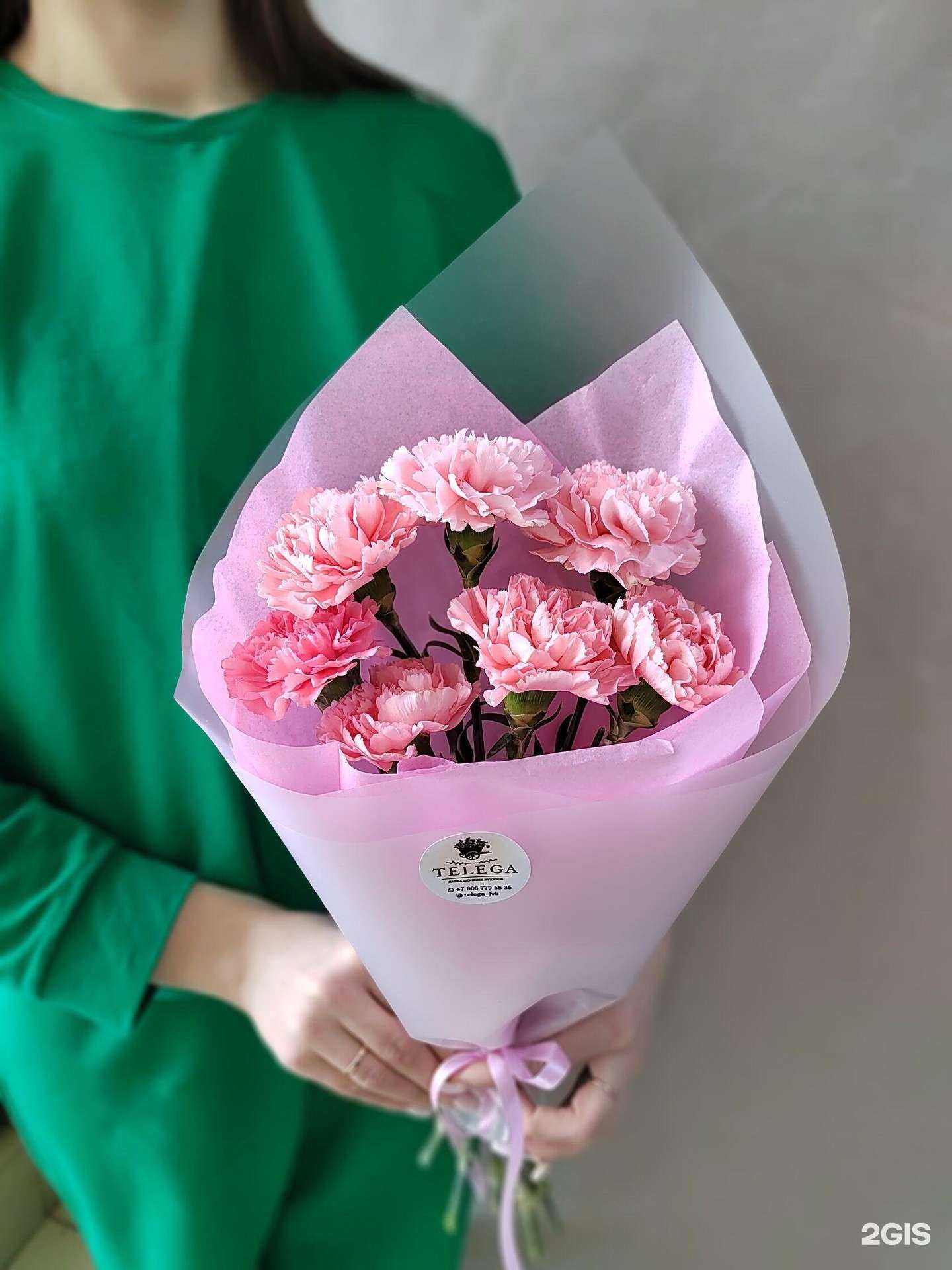 Отзывы на компанию Telegа в Коммунарке c фото