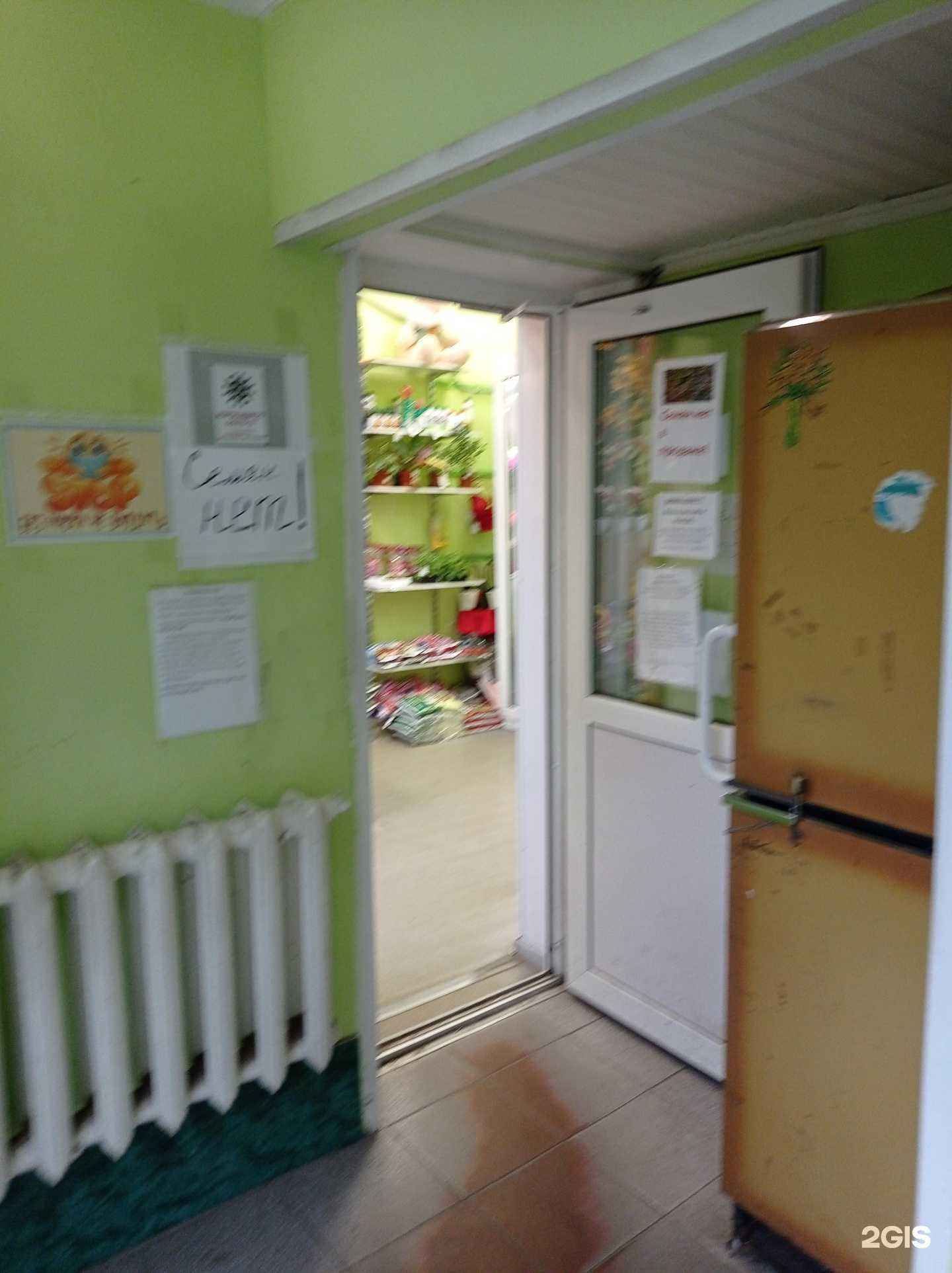 Отзывы на компанию Магазин цветов в Отрадном c фото