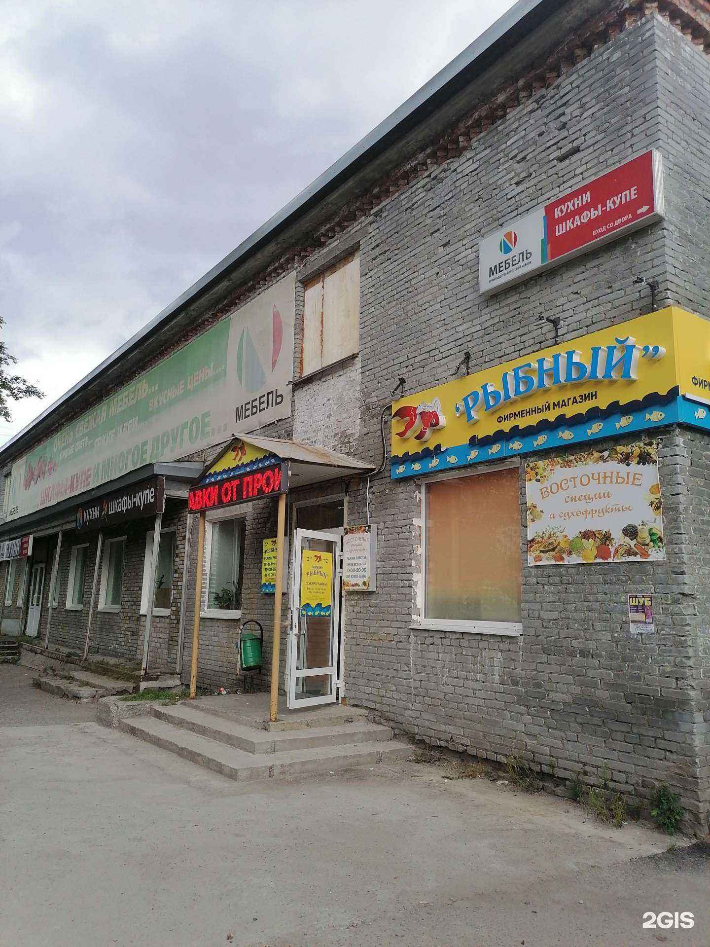 Отзывы на компанию Vogue dog в Апатитах c фото - фотография 2 из 2