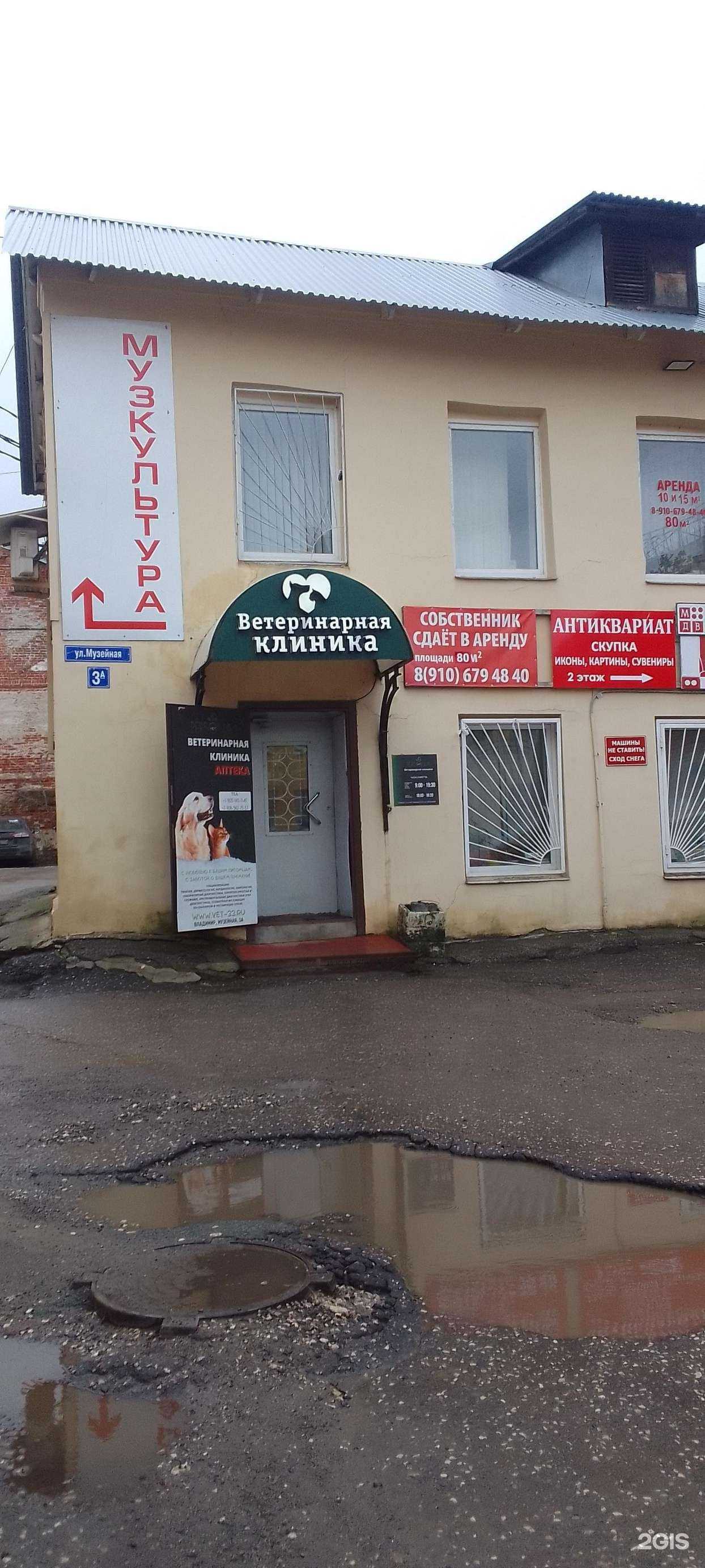 Отзывы на компанию Persona Vet в г. Владимир c фото