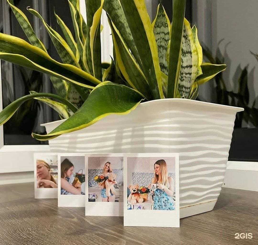 Отзывы на компанию Фото Лайк в Курске c фото