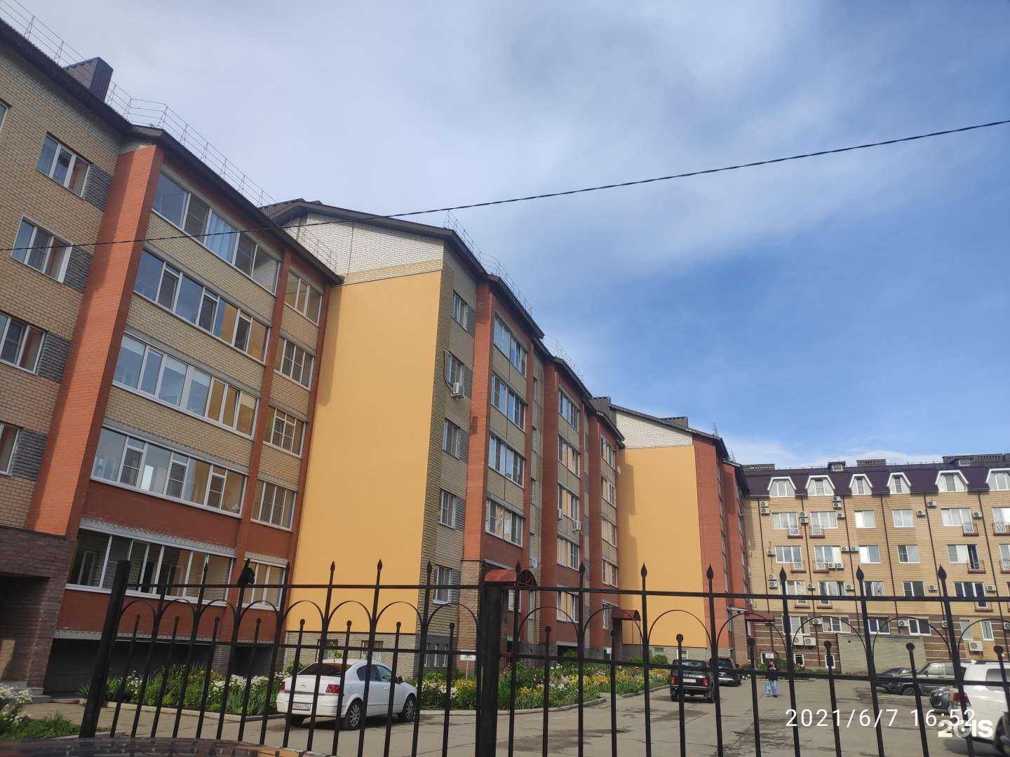 Отзывы на компанию Груминг-салон в Арзамасе c фото - фотография 2 из 2