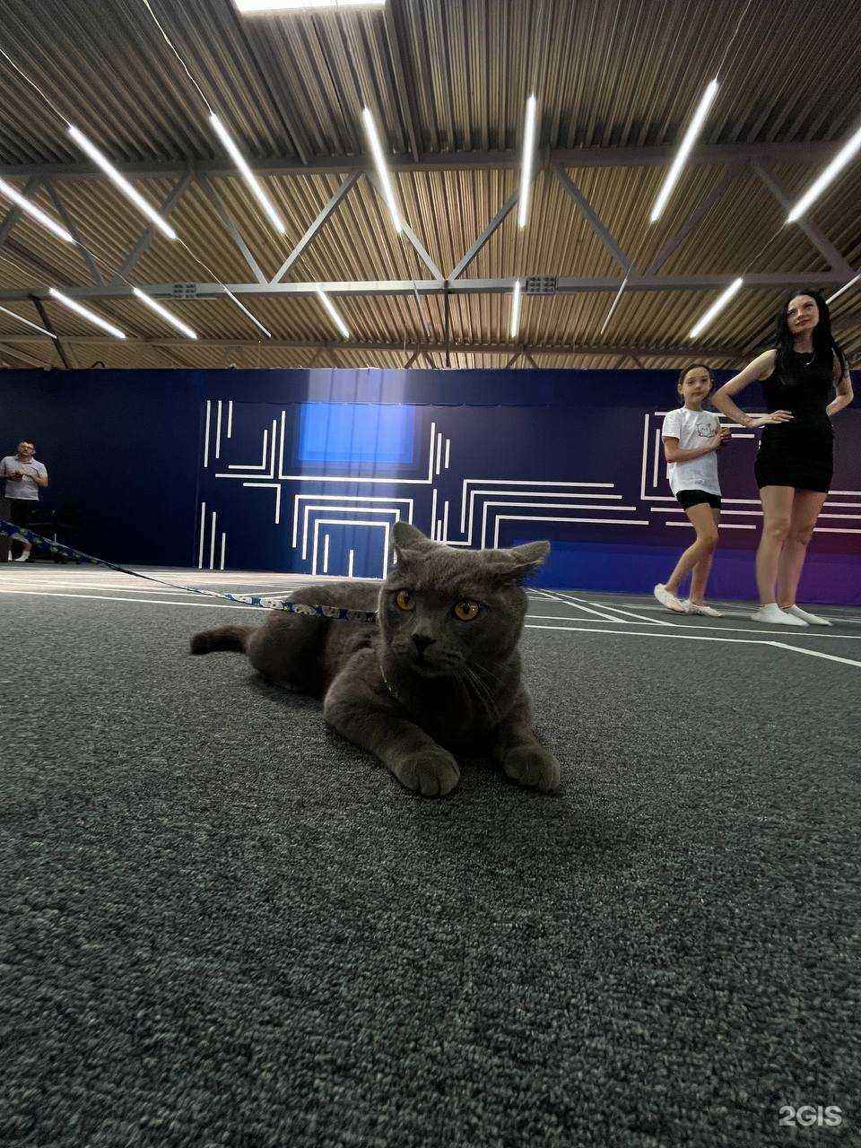 Отзывы на компанию Another World в Ревде c фото