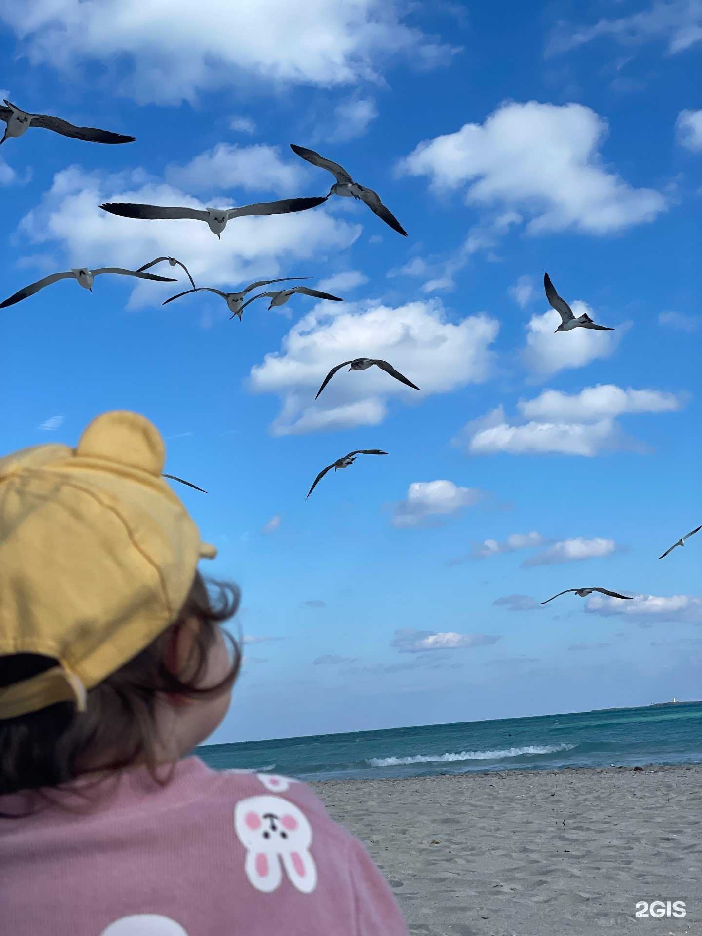 Отзывы на компанию Go travel в Уфе c фото