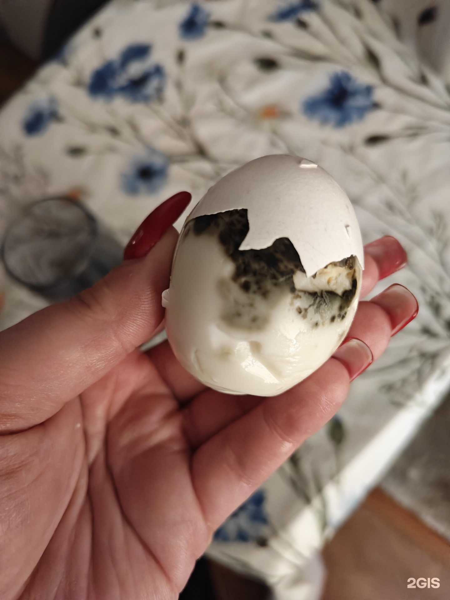 Отзывы на компанию Пионерское в Елизове c фото