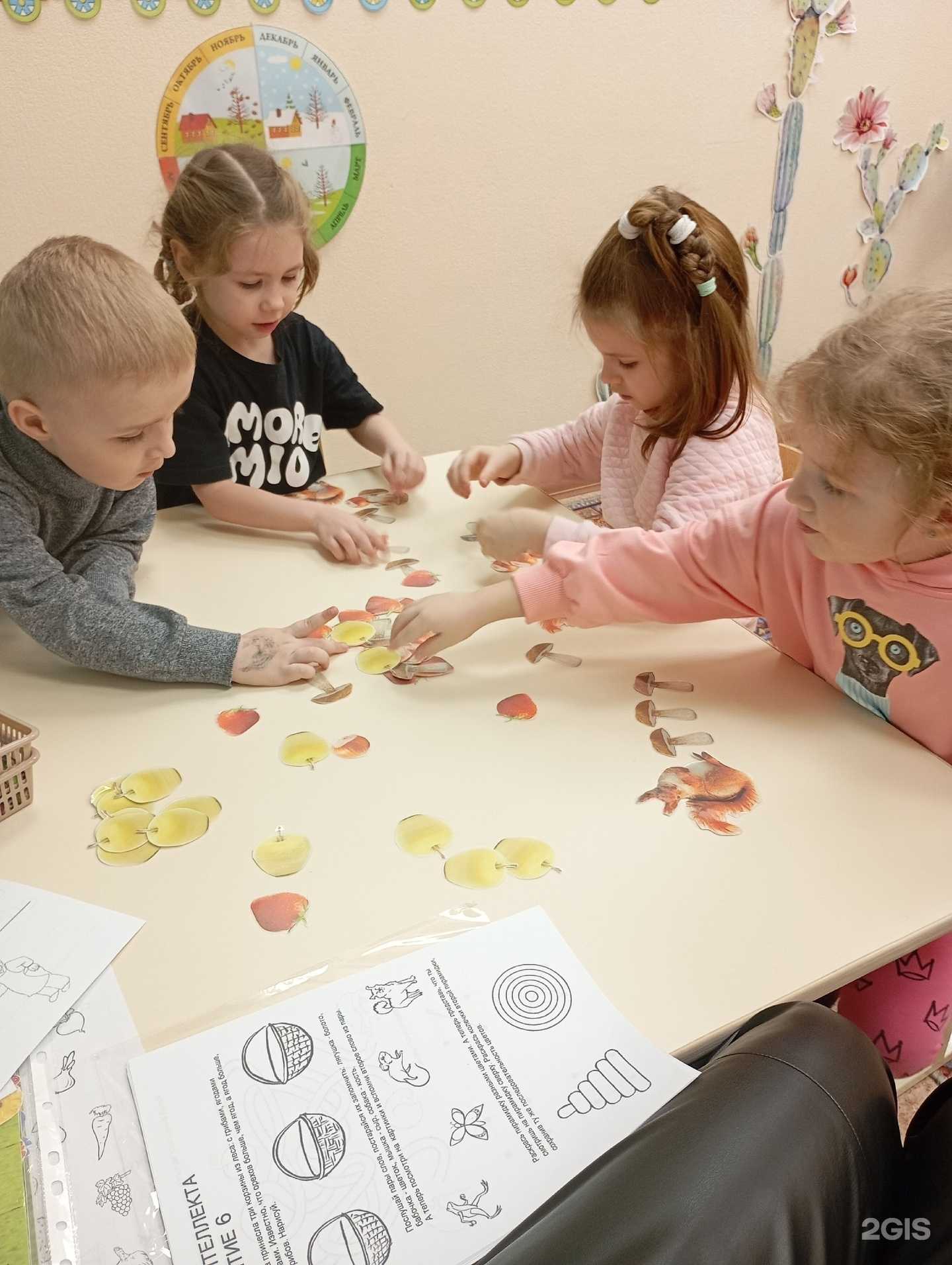 Отзывы на компанию Кактус в Новосибирске c фото