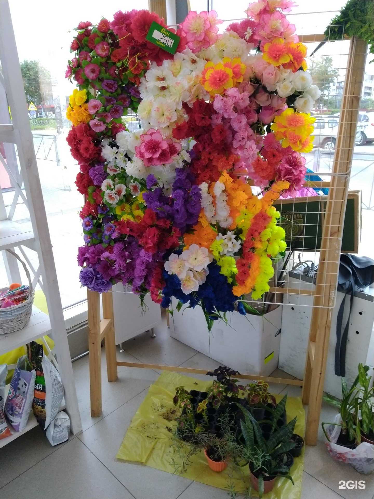 Отзывы на компанию Цветы и радости в г. Кировск c фото