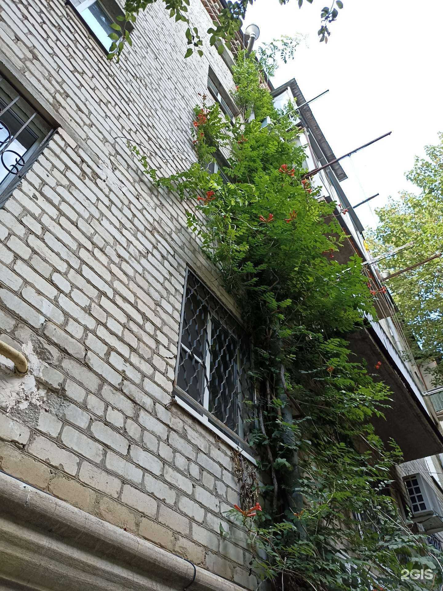 Отзывы на компанию КМВ Экспресс в Кисловодске c фото - фотография 2 из 2