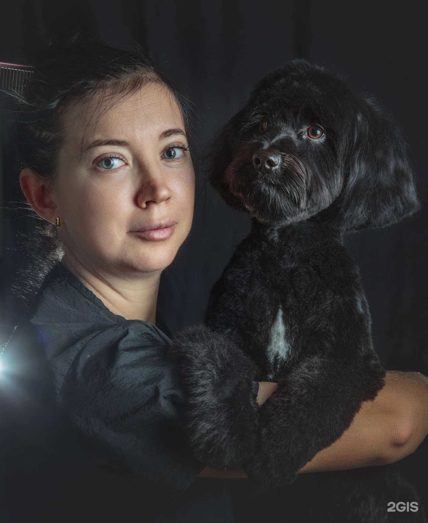 Отзывы на компанию Студия груминга в г. Дмитров c фото