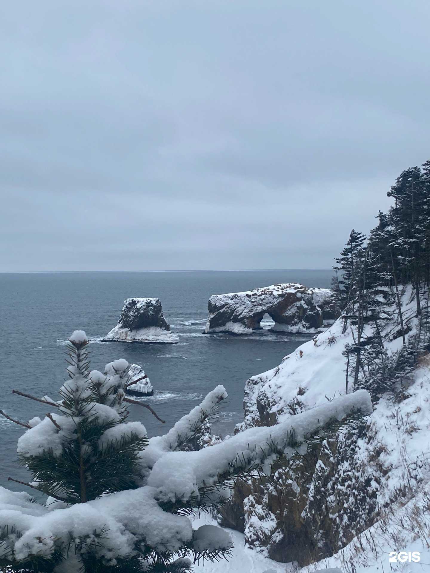 Отзывы на компанию Prosakh.ru в г. Южно-Сахалинск c фото